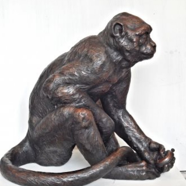 The Timekeeper (Macaque monkey)
