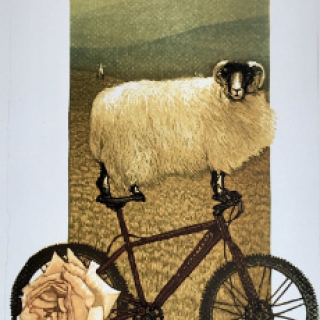 Bike Stand