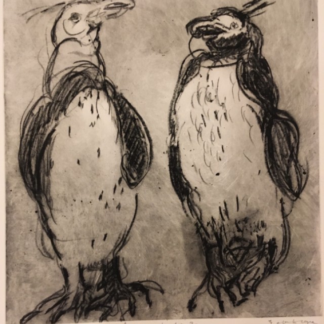 Penguins, London Zoo