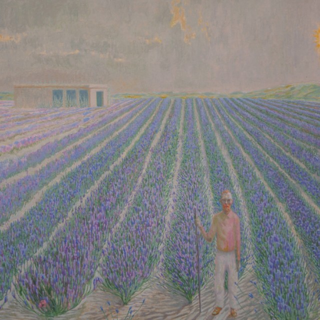 lavender Field