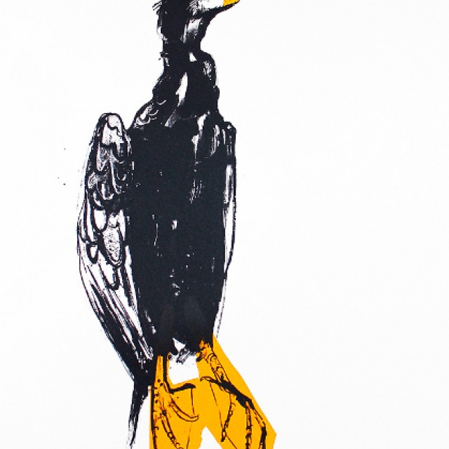 Orange Cormorant