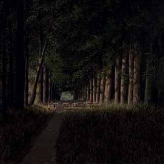 A pathway leads through a dark forest to a semi-lit patch which is blocked by a barrier