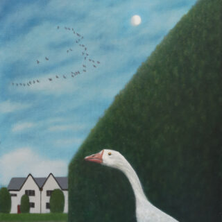 A goose by a hedge watches a flock of geese flying overhead
