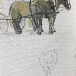 two ponies waiting to pull a carriage