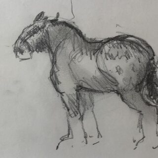 dappled horse standing