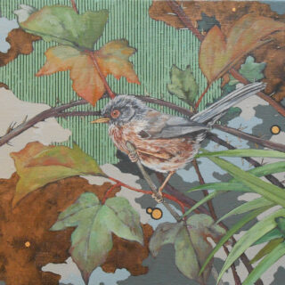 bird scene