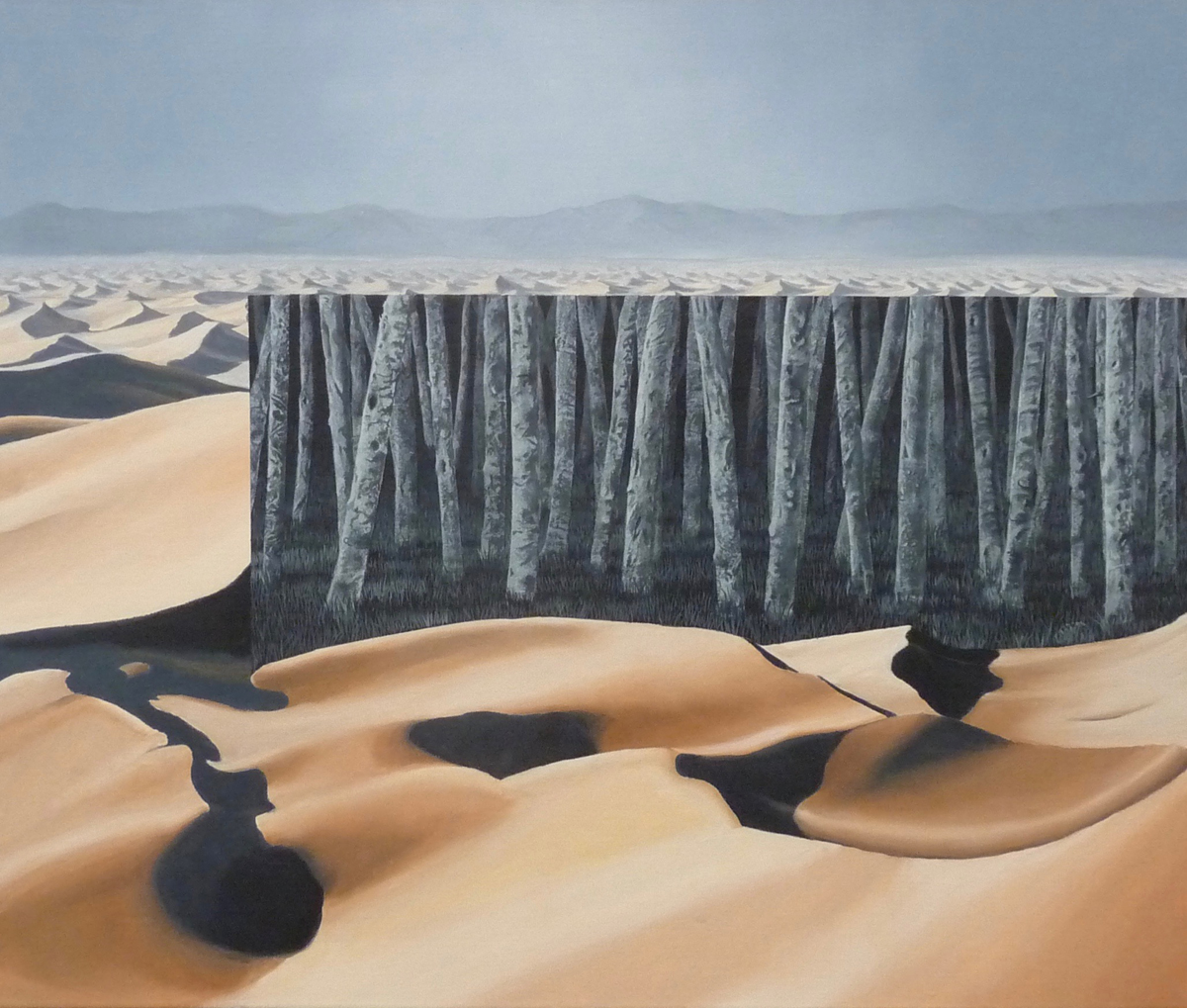 trees in a desert landscape