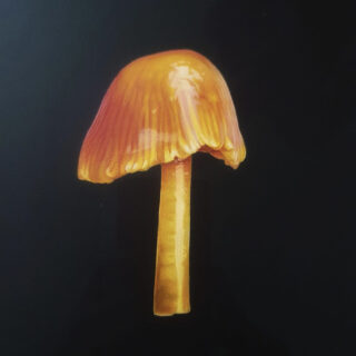 mushroom