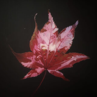 leaf