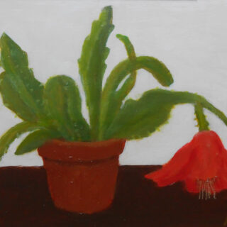 plant