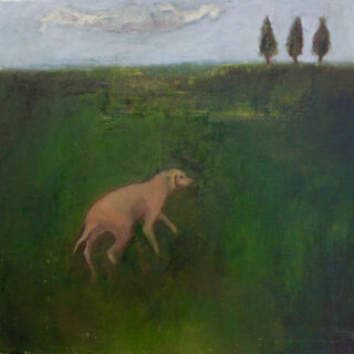 garden with a dog