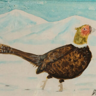 bird