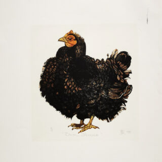 chicken